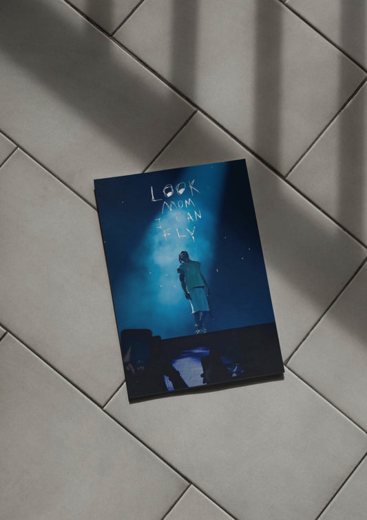 Poster Look Mom I Can Fly