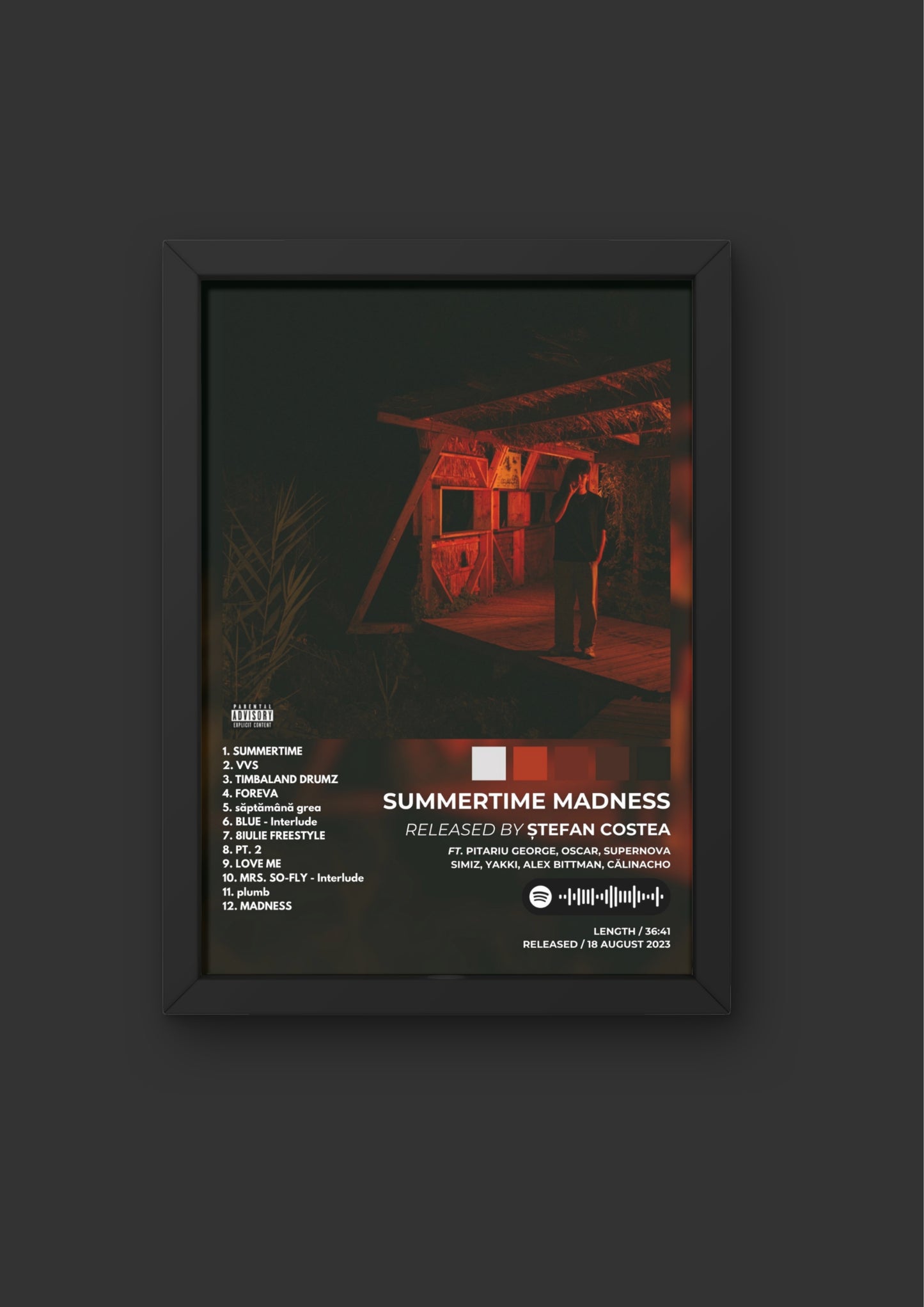 Tablou SUMMERTIME MADNESS