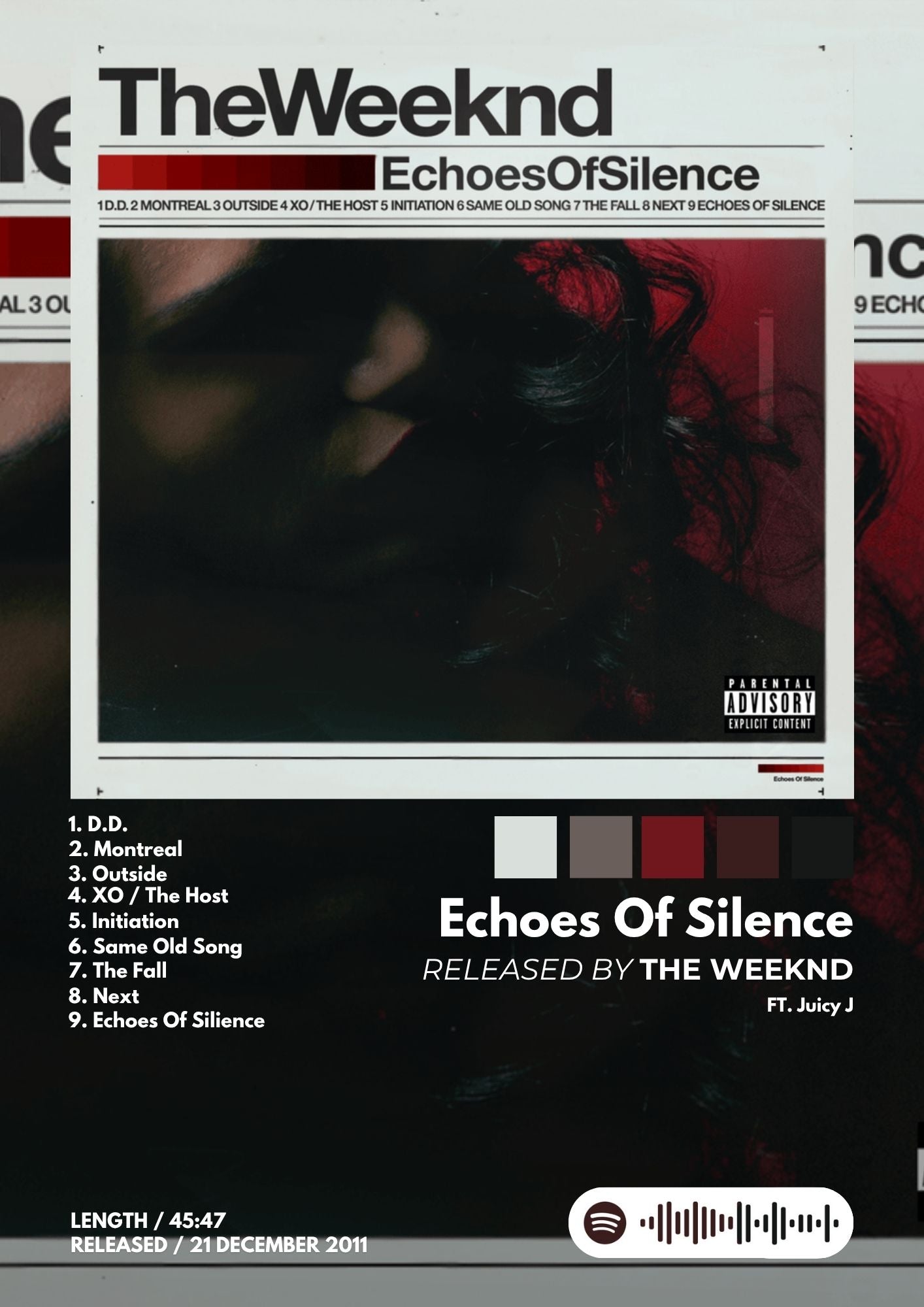 Tablou Echoes Of Silence