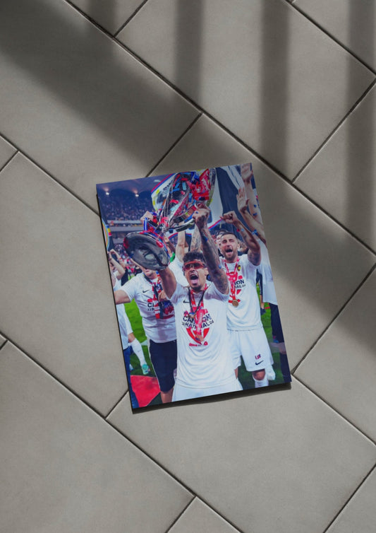 Poster Florinel Coman