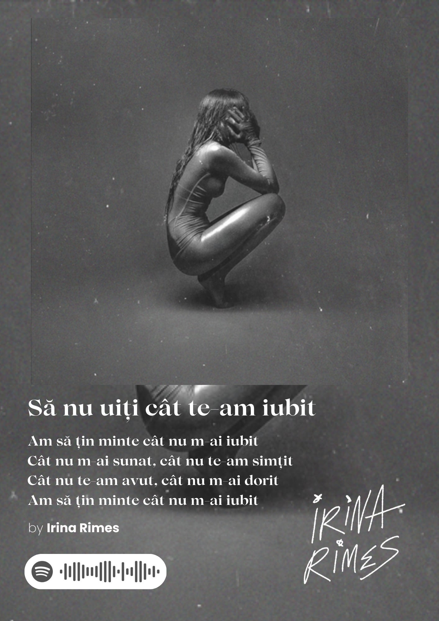 Poster Să nu uiți cât te-am iubit