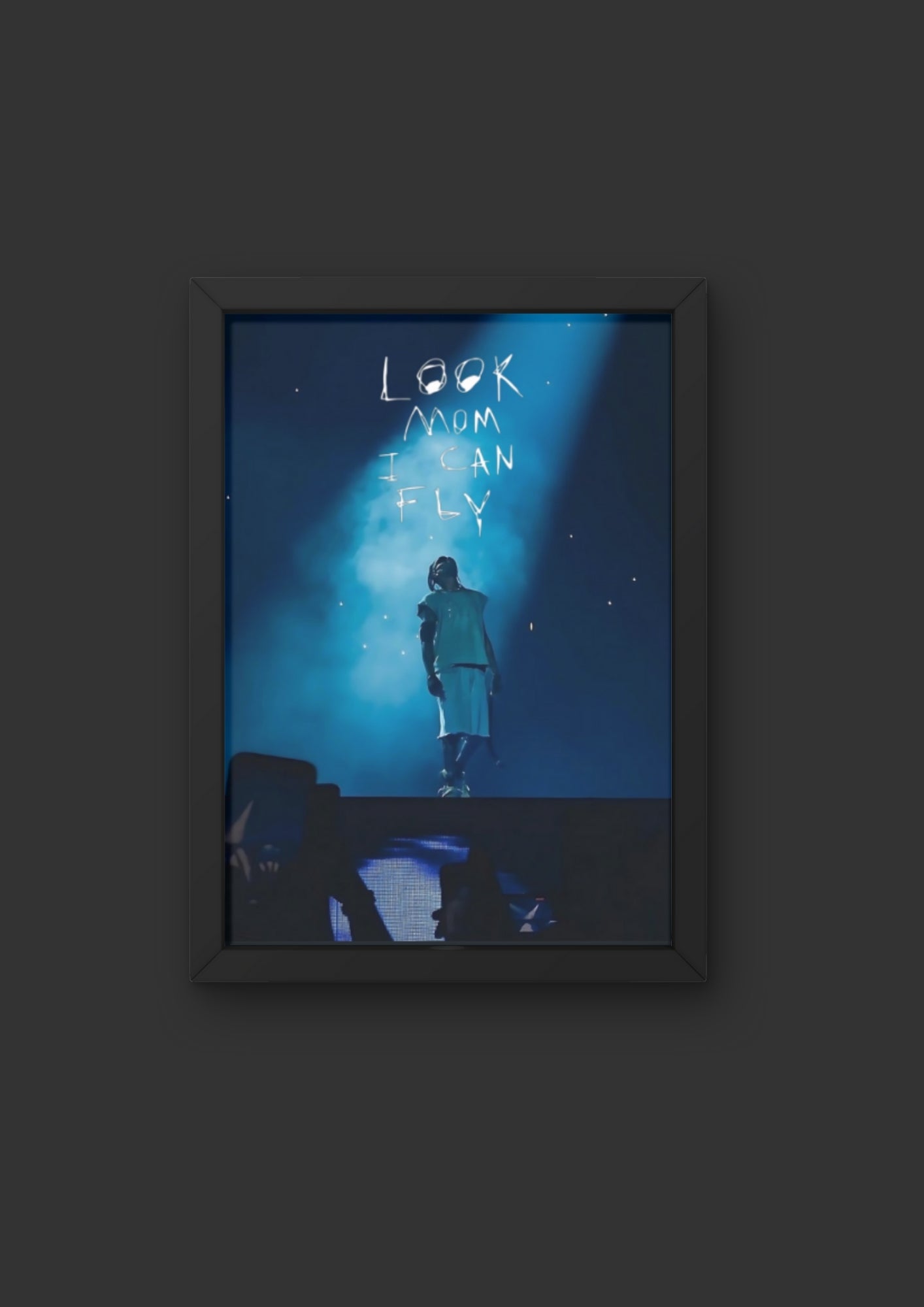 Poster Look Mom I Can Fly