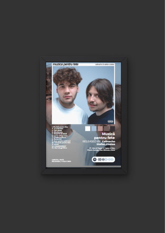 Tablou Muzica Pentru Fete