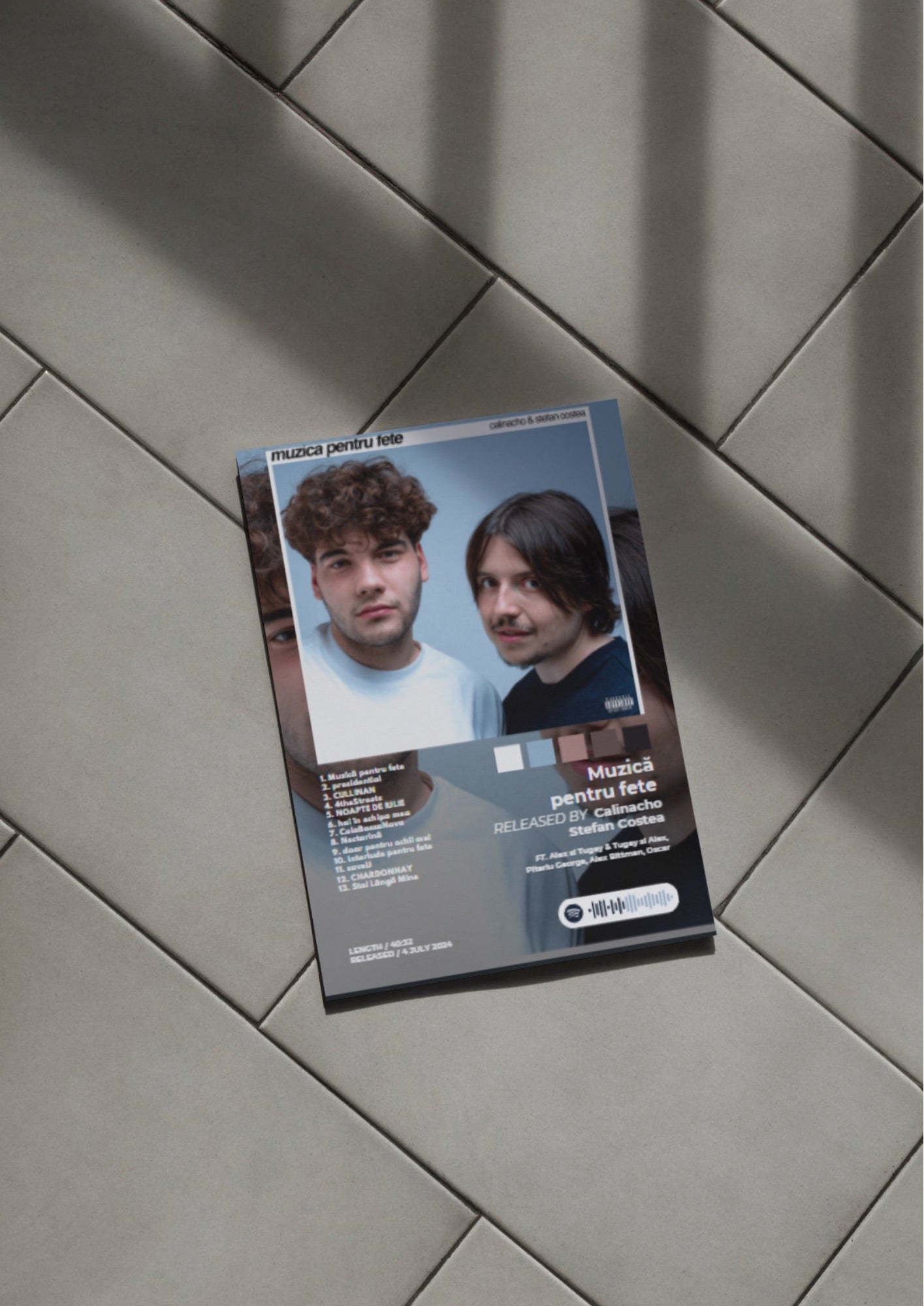 Tablou Muzica Pentru Fete