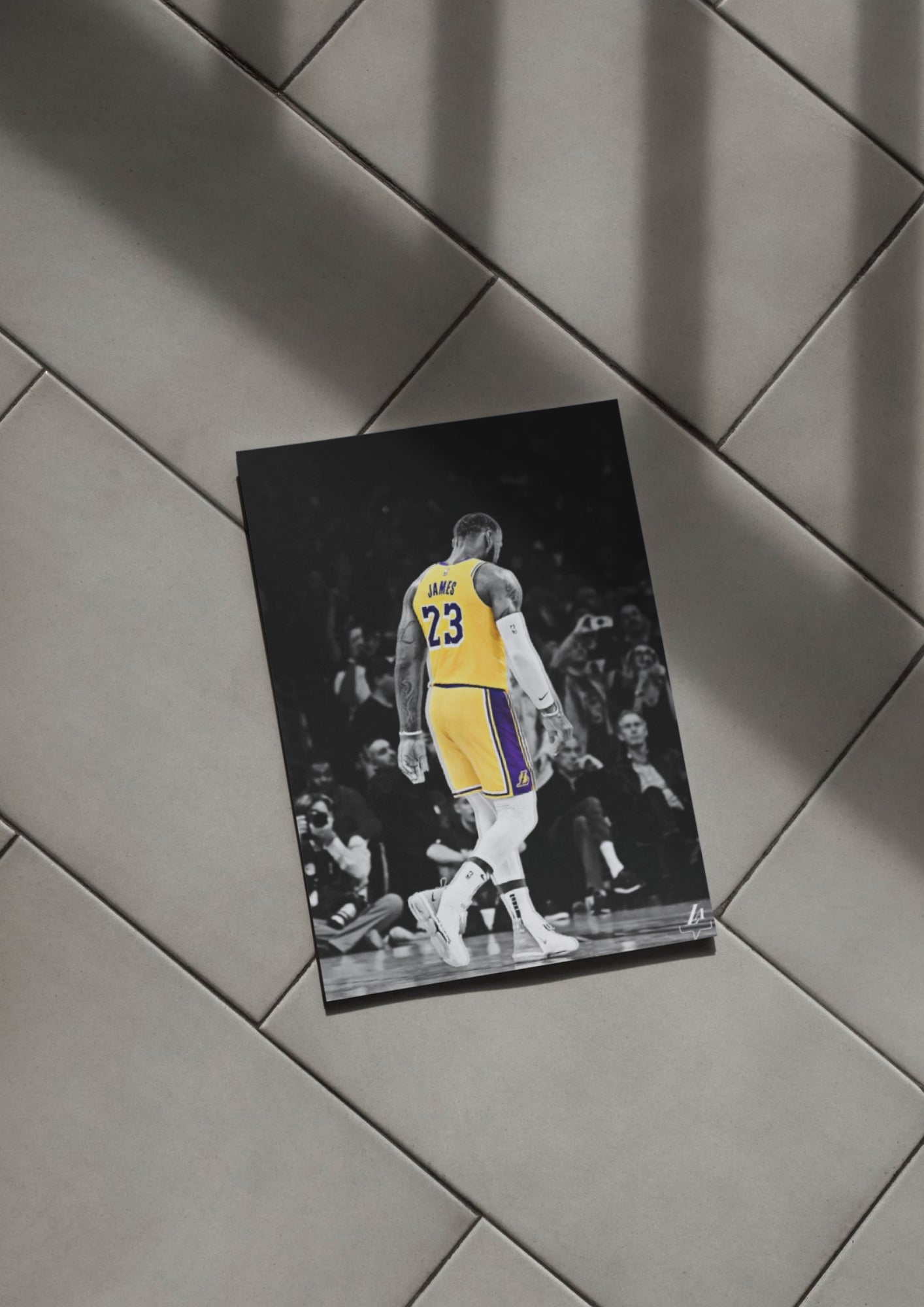 Poster Lebron James