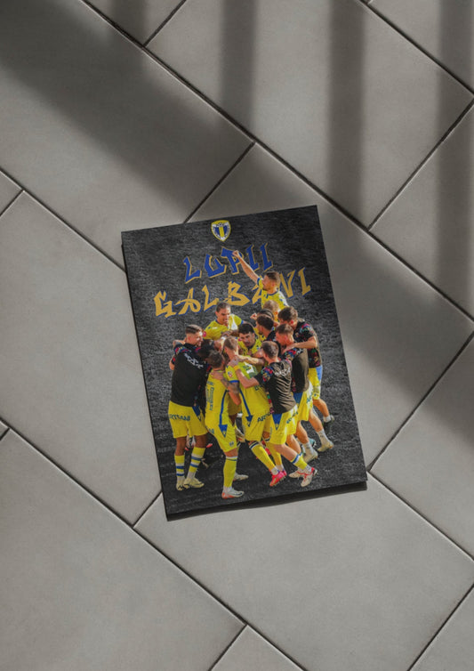 Poster Fc Petrolul
