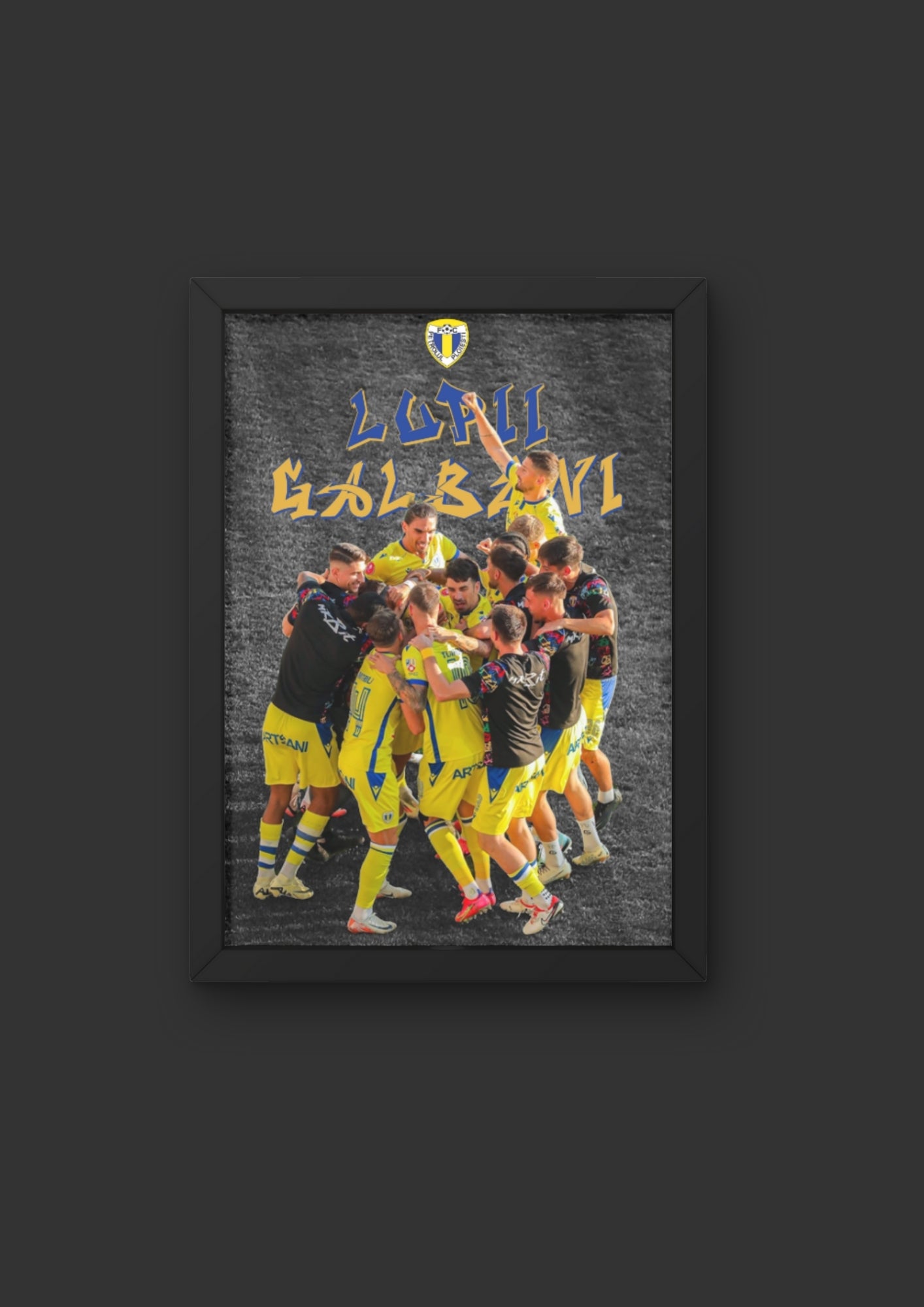 Poster Fc Petrolul