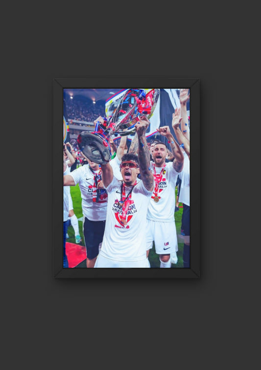 Poster Florinel Coman