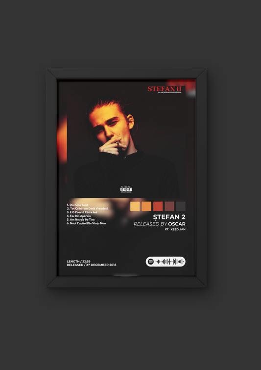 Tablou Stefan 2